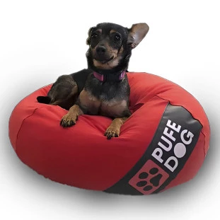 PUFF DOG